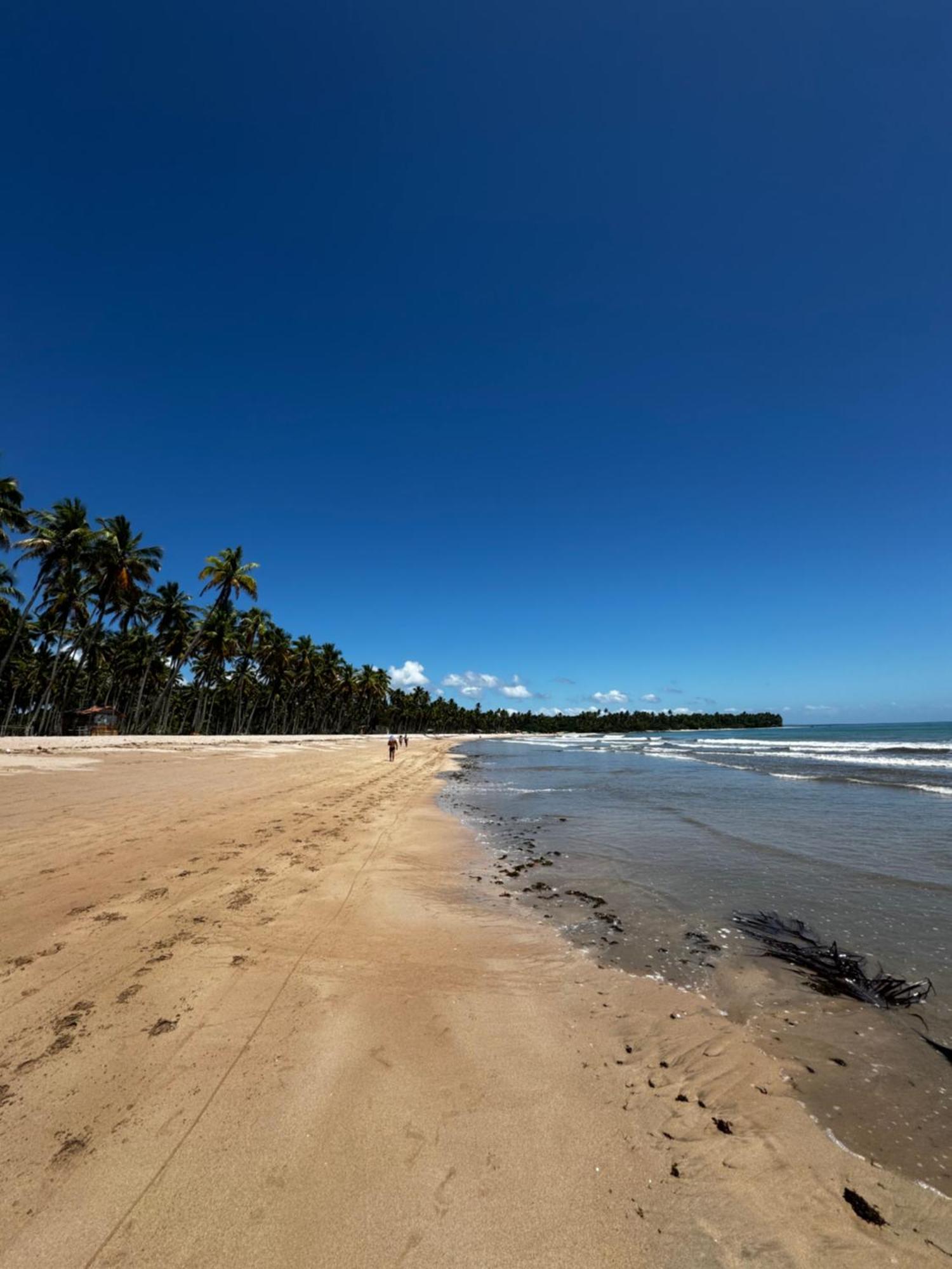 Pousada Mare Alta Em Boipeba Velha Boipeba Exteriér fotografie